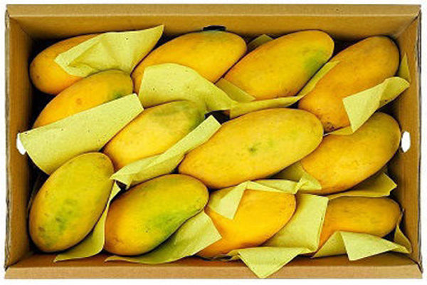Chaunsa Mango