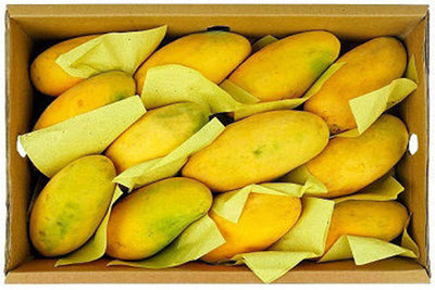 Chaunsa Mango