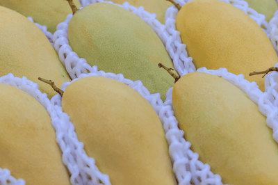 Dasheri Mango