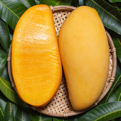 Sindhri Mango