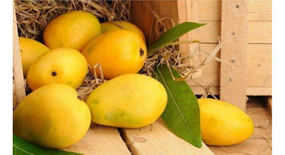 Saroli Mango