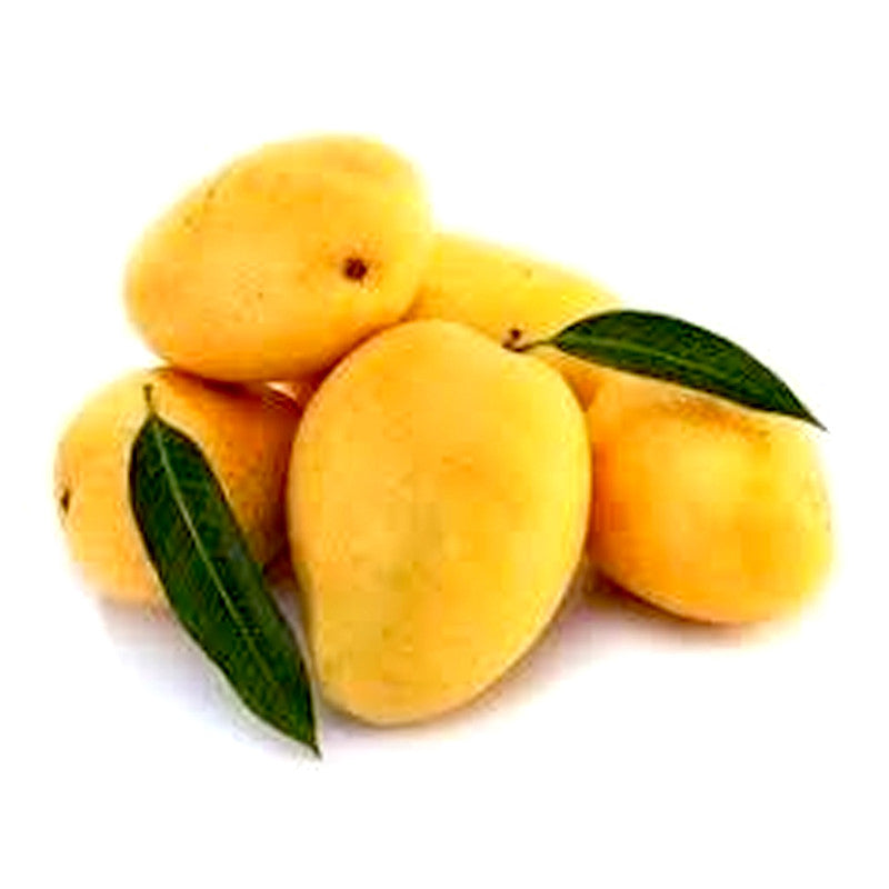 Saroli Mango