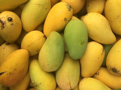 Saroli Mango