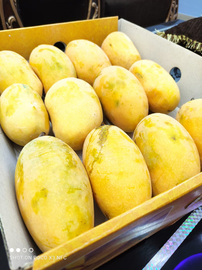 Chaunsa Mango